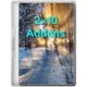 Иконка 2k10 Addons 2021-04-01