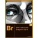 Иконка Adobe Bridge CC 2018 8.0.1.282 RePack by KpoJIuK (2018) Multi Русский
