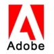 Иконка Adobe Flash Player (30.0.0.113 - 7.0.69) (Internet Explorer, Mozilla, Chromium, Opera etc ) [2005-2018]