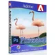 Иконка Adobe Photoshop 2021 22.4.1 (2021) РС by m0nkrus