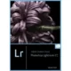 Иконка Adobe Photoshop Lightroom CC 2015.10.1 (6.10.1) RePack by KpoJIuK (2017) Multi Русский