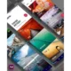 Иконка Adobe XD 41.0.12.11 (2021) PC RePack by KpoJIuK