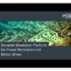 Иконка Altair PSIM 2024.0 [En]