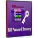 Иконка Any RAR Password Recovery 9.9.8 [Multi]