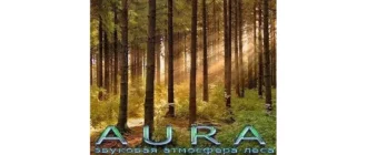 Иконка Аура 2.8.9d.208 [Multi Ru]