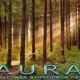 Иконка Аура 2.8.9d.208 [Multi Ru]