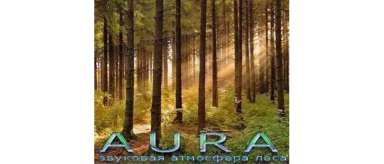 Иконка Аура 2.8.9d.208 [Multi Ru]