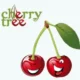 Иконка CherryTree 0.99.51 (x64) + Portable [Multi Ru]