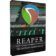 Иконка Cockos REAPER 7.41 RePack (& Portable) by elchupacabra (07.07.2025) [Ru En]