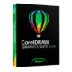 Иконка CorelDRAW Graphics Suite 2019 21.0.0.593 Retail + Content (2019) РС