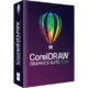 Иконка CorelDRAW Graphics Suite 2024 25.2.1.313 (x64) RePack by KpoJIuK [Multi Ru]