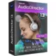 Иконка CyberLink AudioDirector Ultra 13.4.2817.0 (x64) [Multi]