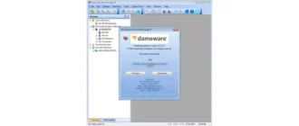 Иконка DameWare Remote Support & DameWare Mini Remote Control 12.2.4.11 [En]