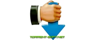 Иконка Download Master 7.0.1.1709 + Portable [Multi Ru]