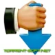 Иконка Download Master 7.0.1.1709 + Portable [Multi Ru]