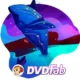 Иконка DVDFab 13.0.2.5 (2024) PC RePack & Portable by elchupacabra