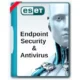 Иконка ESET Endpoint Antivirus ESET Endpoint Security 9.1.2057.0 (25.08.2022) RePack by KpoJIuK [Multi Ru]