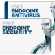 Иконка ESET Endpoint Security Endpoint Antivirus 6.6.2078.5 (2018) PC RePack by KpoJIuK