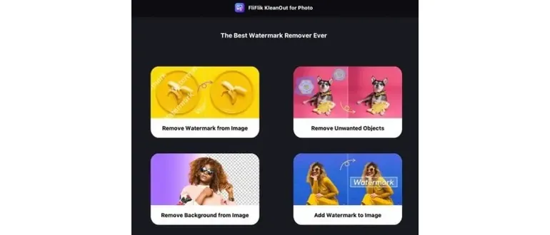 Иконка FliFlik KleanOut for Photo 6.4.0 Portable by FC Portables [Multi Ru]