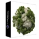 Иконка Forester v1.5.5 For Cinema 4D R18-2024 Win 1.5.5 [En]
