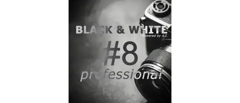 Иконка Franzis BLACK & WHITE Pro 8.25.04078 Portable by Spirit Summer [Multi]