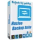 Иконка Hasleo Backup Suite 2.9.1 RePack & Portable by 9649 [Multi Ru]