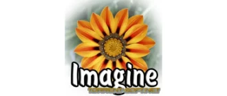 Иконка Imagine 1.1.5 + Plugins (2022) PC + Portable