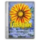 Иконка Imagine 1.4.1 + Portable [Multi Ru]