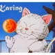 Иконка Karing 1.0.37.498 + Portable [Multi Ru]