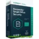 Иконка Kaspersky Small Office Security 21.14.5.462 (Web Installer) [Ru]