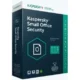 Иконка Kaspersky Small Office Security 21.18.5.438 [Ru]