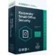 Иконка Kaspersky Small Office Security 21.9.6.465 (offline cache) [Ru]