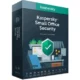 Иконка Kaspersky Small Office Security 8 21.3.10.391 [Ru]