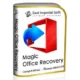 Иконка Magic Office Recovery 2.8 (2020) РС RePack &Portable by ZVSRus
