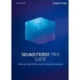 Иконка MAGIX Sound Forge Pro Suite 14.0 Build 45 RePack (2020) Multi Русский