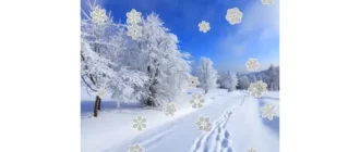 Иконка Maxlim New Year 2020 2.2.1.1 (2020) PC RePack & Portable by elchupaсabra