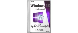 Иконка Microsoft® Windows® 10 Professional vl x86-x64 1607 RU by OVGorskiy® 12.2016 2DVD (2016) Русский