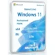Иконка Microsoft® Windows® 11 Pro-Home Optim Lite x64 24H2 RU by OVGorskiy 05.2025