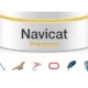 Иконка Navicat Premium 11.2.16 (2017) Английский