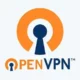 Иконка OpenVPN 2.5.7 RePack by elchupacabra [Multi Ru]