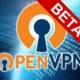 Иконка OpenVPN 2.6.0 beta [Multi Ru]