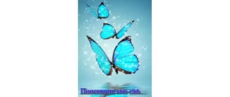 Иконка Поисковик NNM-Club 3.2.1.0 Portable [Ru]