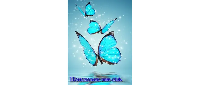 Иконка Поисковик NNM-Club 3.2.1.0 Portable [Ru]