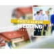 Иконка Проекты - VideoHive - Wedding Photo Album - 21884818 [AEP]