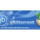 Иконка qBittorrent 4.6.6 Stable (2024) PC Portable by stalkerok