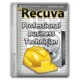 Иконка Recuva Professional Business Technician 1.53.2083 [Multi Ru]
