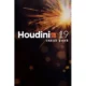 Иконка SideFx Houdini FX 19.0.383 [En]