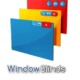 Иконка Stardock WindowBlinds 10.65 (2017) Английский