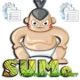 Иконка SUMo Pro 5.17.9.541 [акция Comss] (2023) PC + Portable