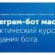 Иконка Telegram-бот мастер (2017) Видеокурс